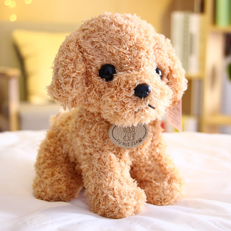 Peluche chien Teddy