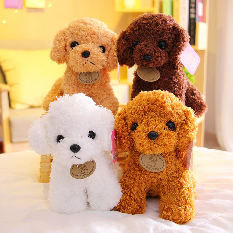 Peluche chien Teddy
