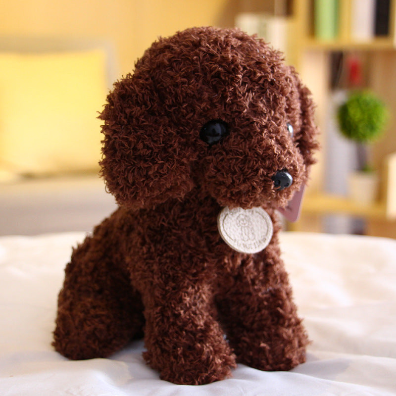 Peluche chien Teddy