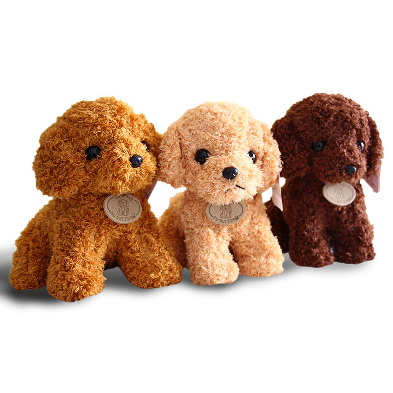 Peluche chien Teddy