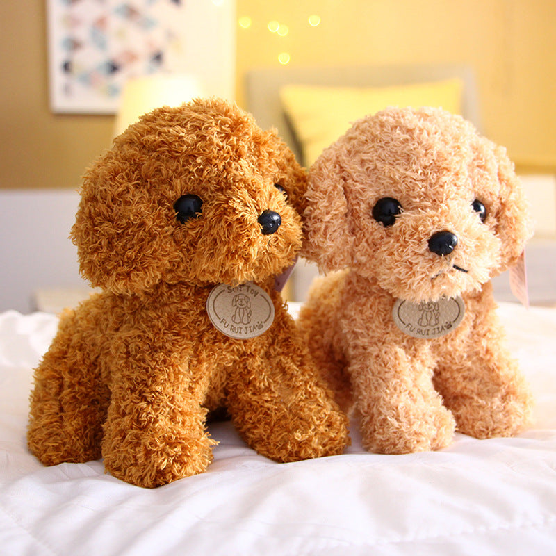 Peluche chien Teddy