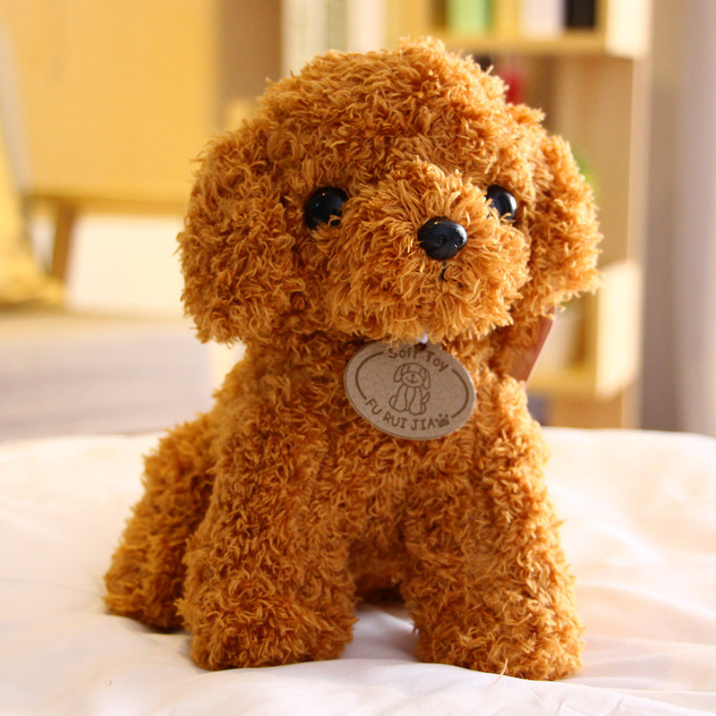 Peluche chien Teddy
