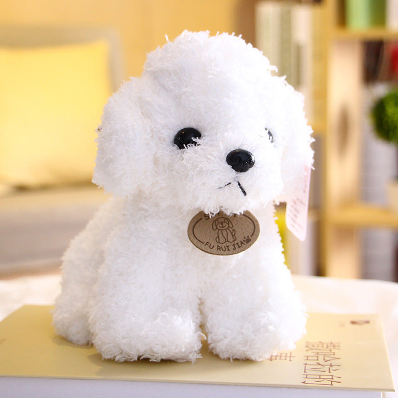 Peluche chien Teddy