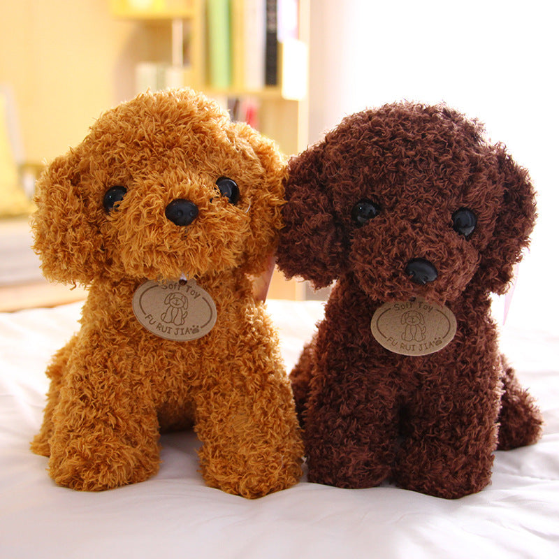 Peluche chien Teddy