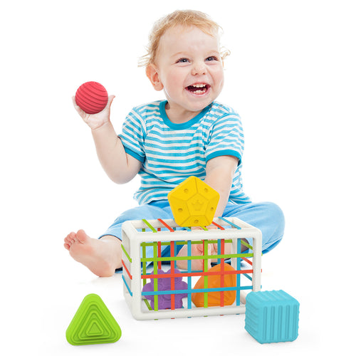 Montessori Shape Sorter