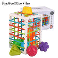 Montessori Shape Sorter