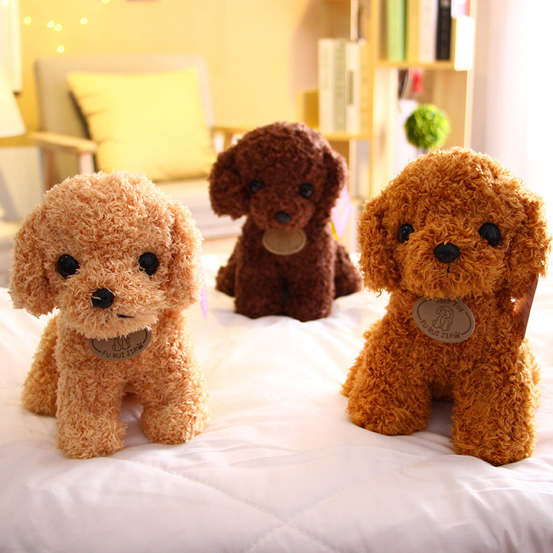 Peluche chien Teddy
